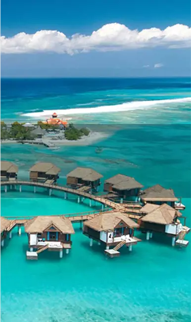 The Caribean